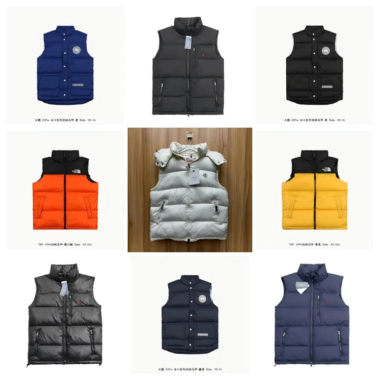 The North Face Blue Puffer Ves